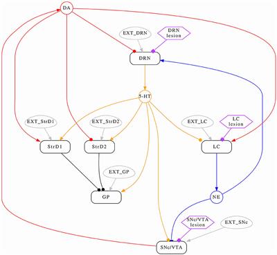 Simulating combined monoaminergic depletions in a PD animal model through a bio-constrained differential equations system